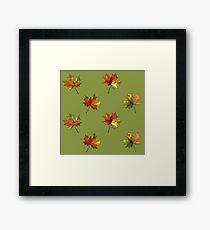 Autumn Leaves Framed Print