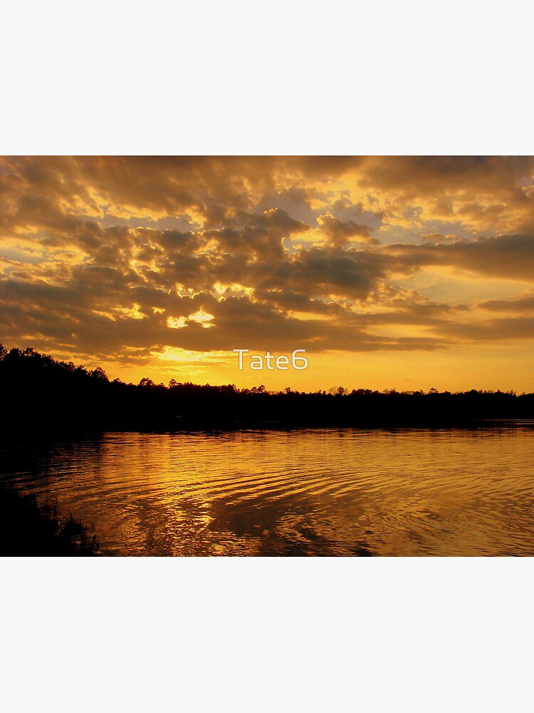Live Forever by Tate6