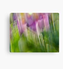 Colorful Strokes 4 (Awake) Canvas Print