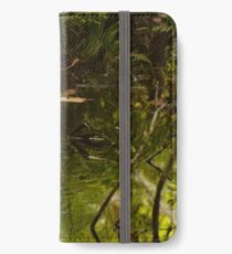 Cypress Knees iPhone Wallet/Case/Skin