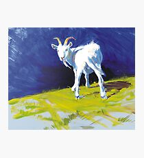 Strike A Pose - Amusing Acrylic Goat Painting Photographic Print