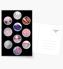 Histologische Folien Postkarten
