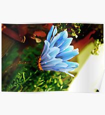 Blue Poster