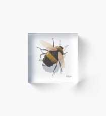 Bee Here Acrylic Block