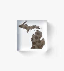 Michigan Petoskey Stone Acrylic Block