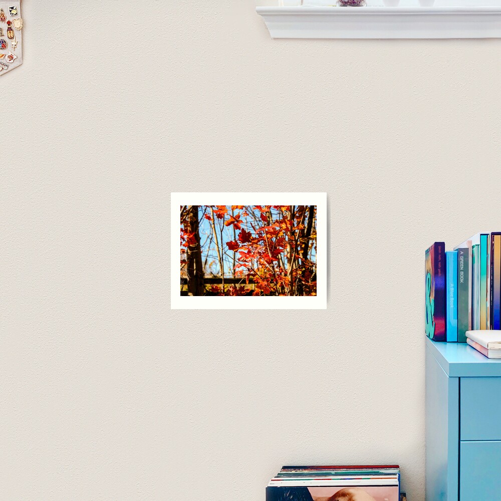 Autumn Joy Art Print