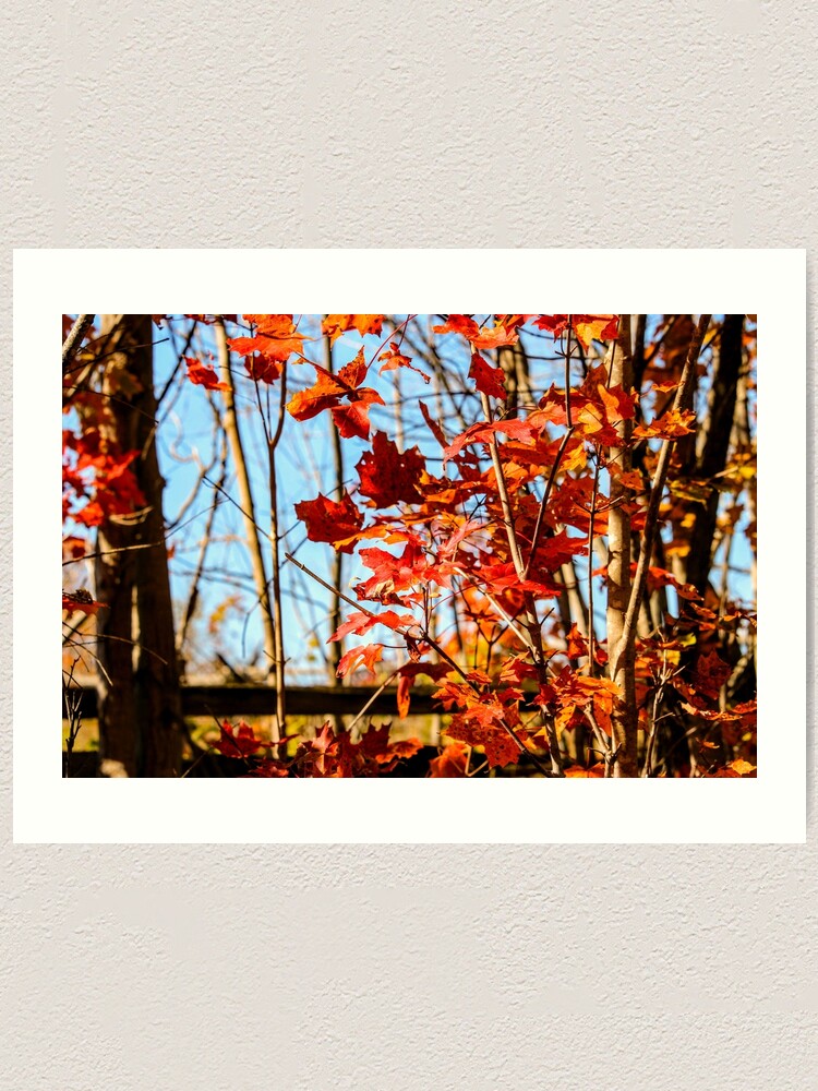 Alternate view of Autumn Joy Art Print