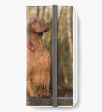 vizsla group sitting iPhone Wallet/Case/Skin