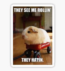 Guinea Pig Sticker