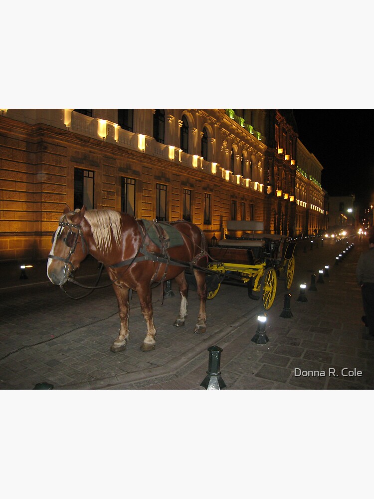 Horse and Buggy by alwaysdrc
