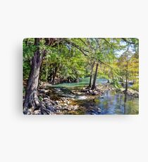 Guadalupe River Metal Print