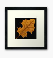 Fall Leaf Framed Print