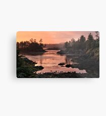 Near Ucluelet BC Metal Print