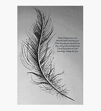 Feathers Photographic Print