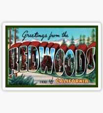 Greeting from Redwoods National Park California, USA Decal Postcard Sticker