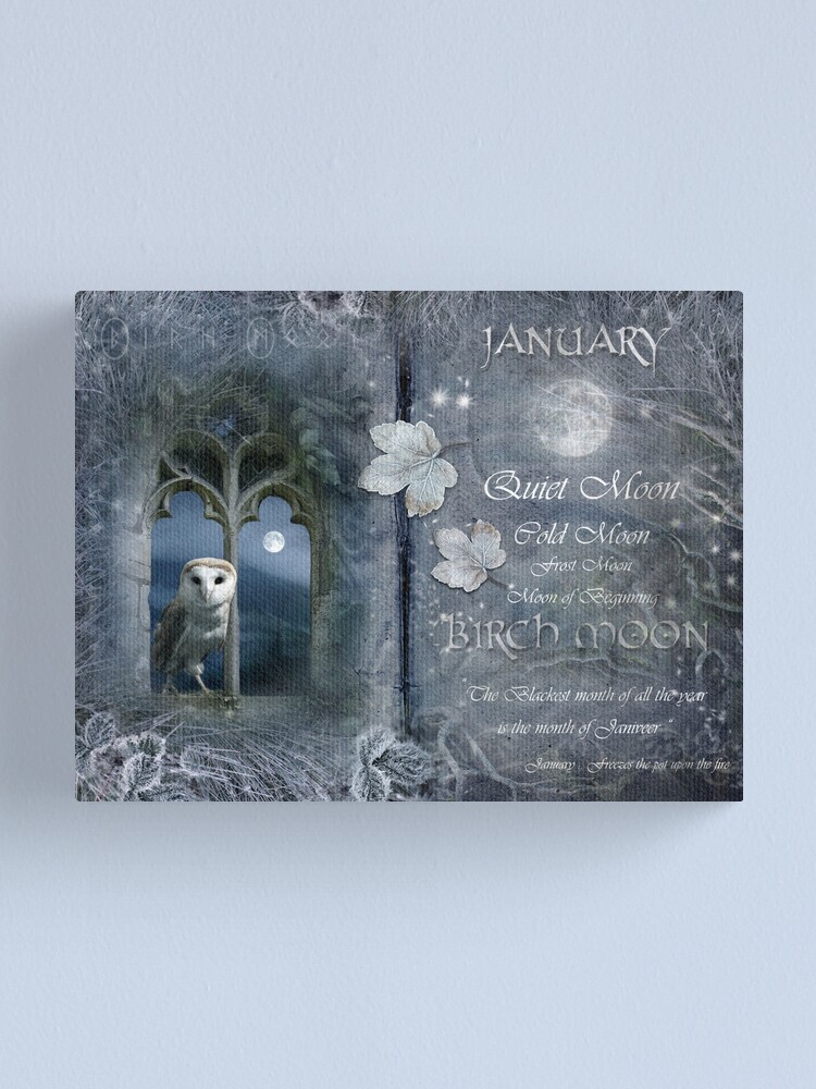 Alternate view of Januray : Birch Moon Canvas Print
