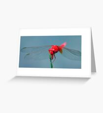 Red Dragon Greeting Card