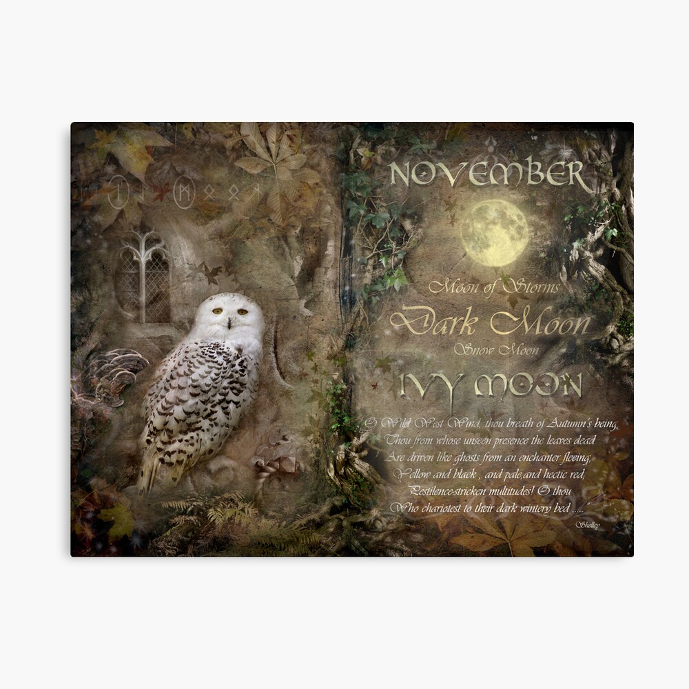 November - Ivy Moon Canvas Print
