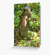 Tarjeta de felicitación Bird stance