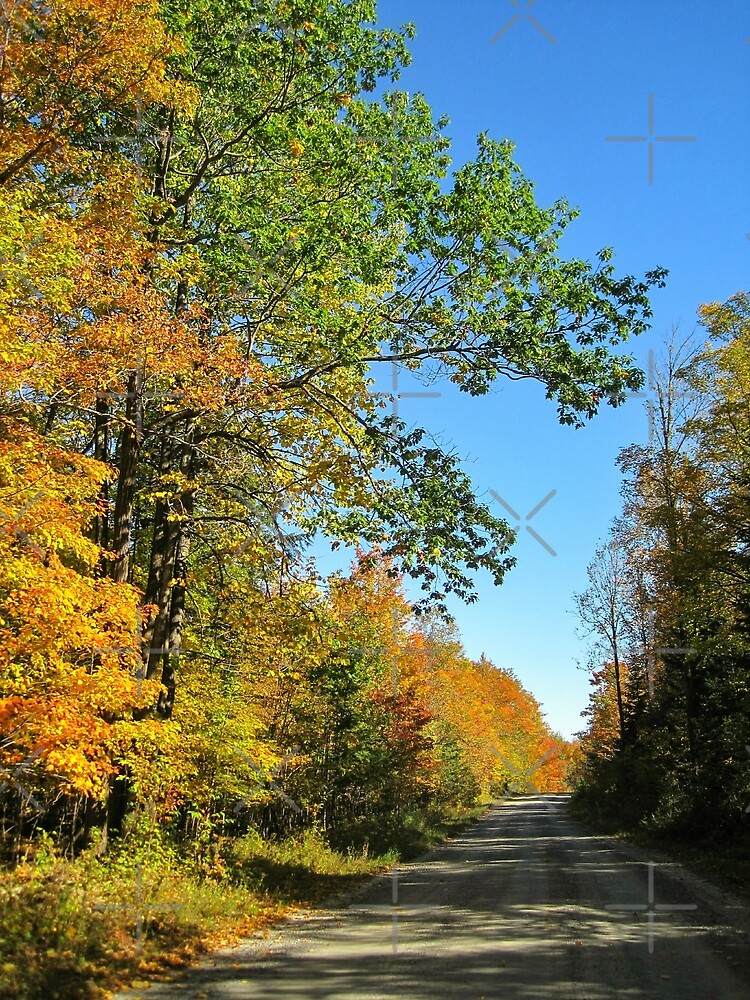 Autumn Road Inspiration by debfaraday