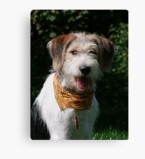 Good News for Rufus Canvas Print