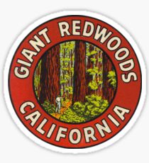 Giant Redwoods Of California Vintage Retro Travel Decal Sticker