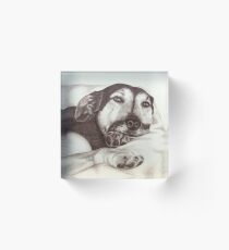 German Shepherd Dog Acrylic Block