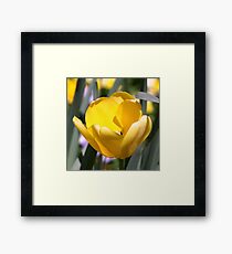 Yellow Framed Print