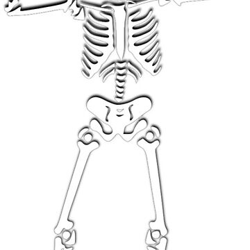 Halloween Skeleton Hands, Skeleton Hand Model, Exquisite Bar