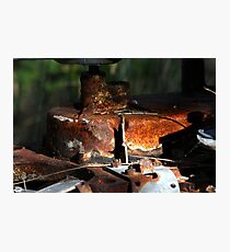 Environmentalist? Photographic Print