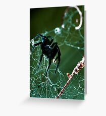 Creepy Crawly Greeting Card