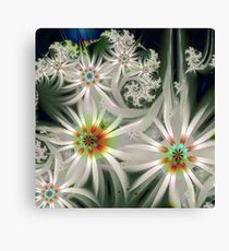 ct 13 Canvas Print