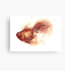Watercolor Goldfish Canvas Print