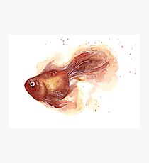 Watercolor Goldfish Photographic Print