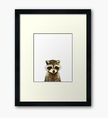 Little Raccoon Framed Print