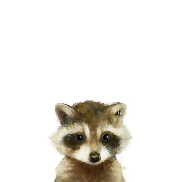 Artwork thumbnail, Little Raccoon by AmyHamilton