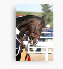 Warm Up Metal Print