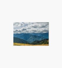 Olympic Mountains Art Board