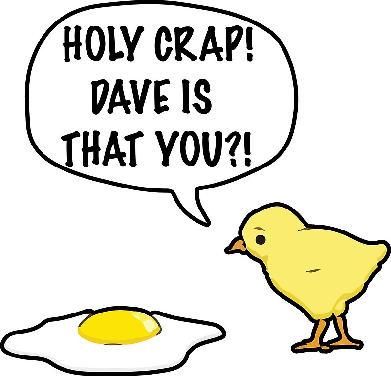 "funny holy crap dave is that you joke chick egg" by Benniboom Redbubble