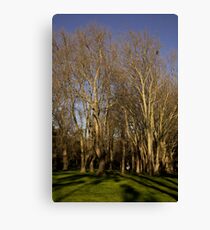 Fitzroy gardens Canvas Print