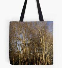 Fitzroy gardens Tote Bag