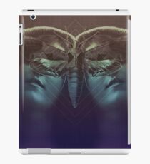 Blue Angels iPad Case/Skin