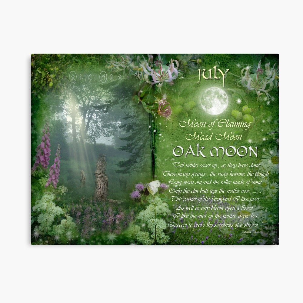 July : Oak Moon Canvas Print