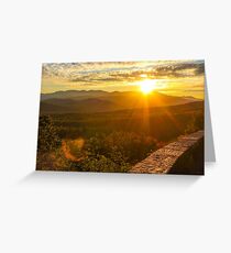 Fall Foliage Greeting Card