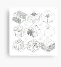 CUBETANIC Canvas Print