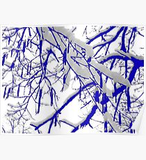 Blue Snow Branches Poster