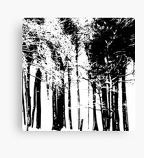 Trees Silhouette Canvas Print