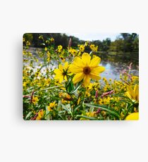 Ten-Petal Sunflower Canvas Print