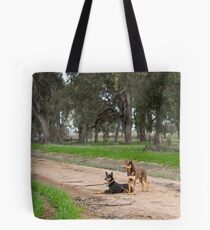 Two Young Kelpie's ....... Tote Bag