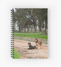 Two Young Kelpie's ....... Spiral Notebook